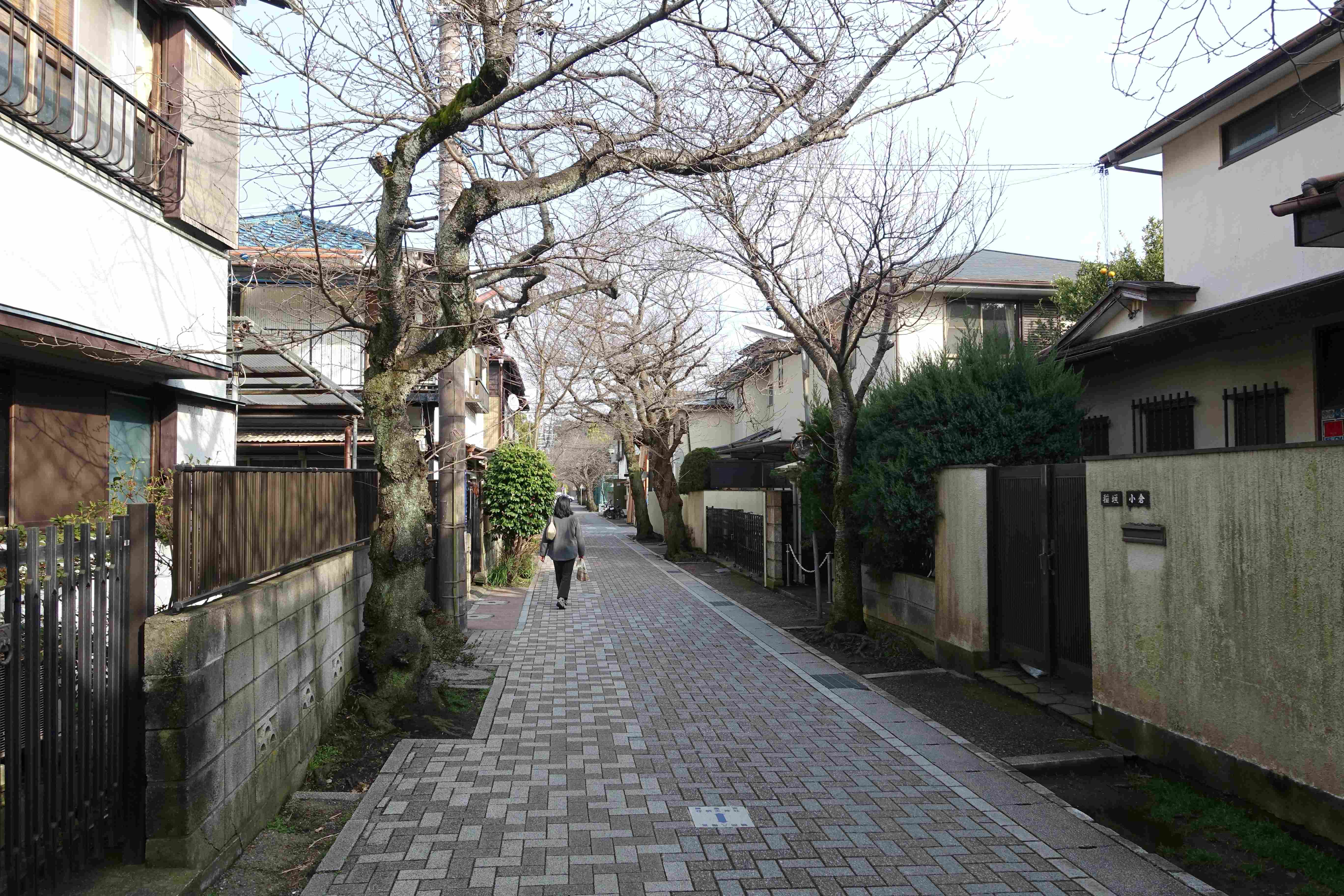 🏯 무사 저택 거리(시마바라 부케야시키 도리) 이미지 5